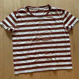 Everlane Organic Cotton Box Tee